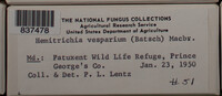 Image Associated With the Occurence
